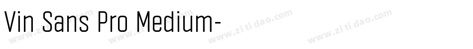 Vin Sans Pro Medium字体转换